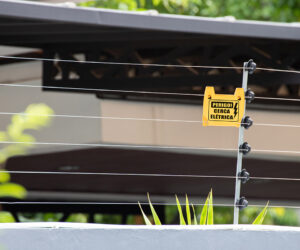 Cerca elétrica com concertina: como funciona, qual a melhor e como instalar